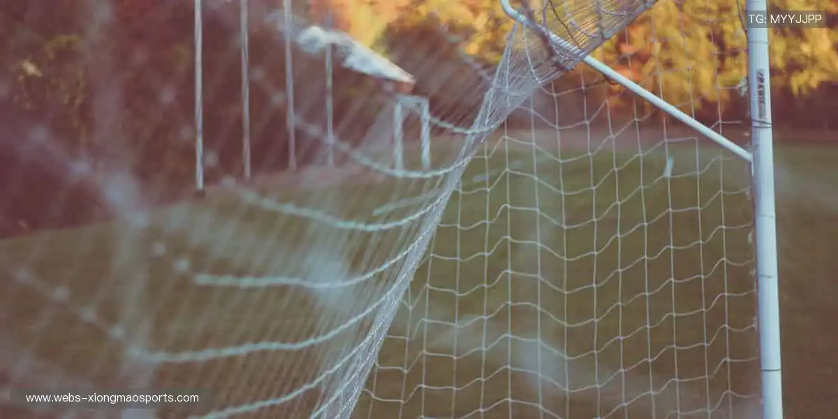 🏀激情赛场，见证冠军诞生时刻！